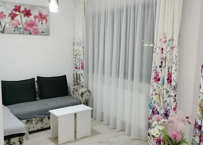 Modern Studio Near Coresi Mall W. Parking